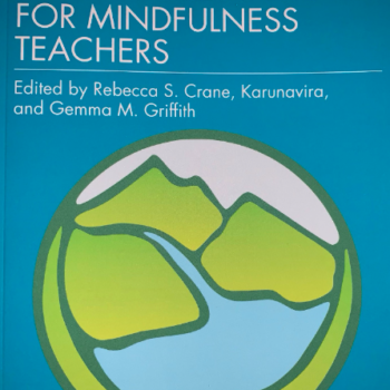 Essential resources for mindfulness teachers